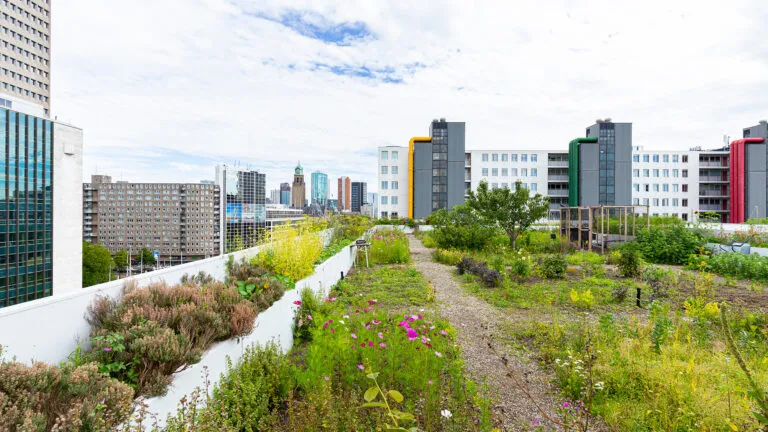 Arcadis | Over Morgen | Adviesbureau Voor Duurzame Gebiedsontwikkeling